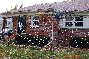 Halloween Spider Lights