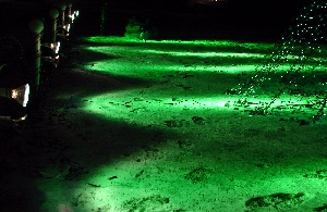 Green Spotlights
