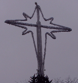 Megatree Star
